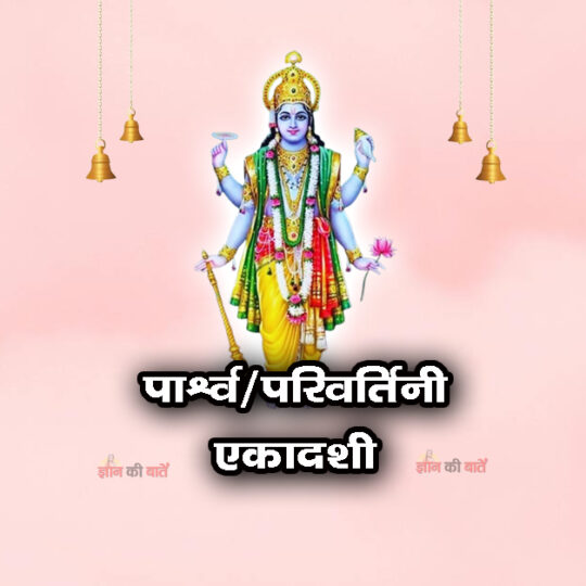 पार्श्व/परिवर्तिनी एकादशी 2026: महिमा, व्रत और कथा